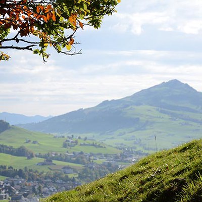 Sönd wöllkomm! Sönd wöllkomm!