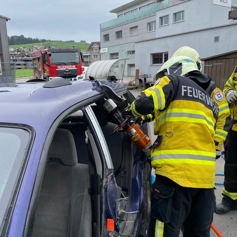 Strassenrettung_5. Vergrösserte Ansicht