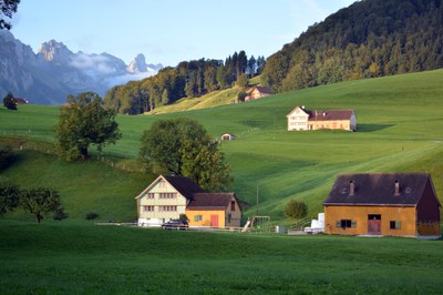 Streusiedlung und farbiges Bauernhaus