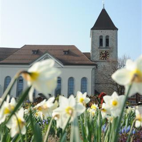 1 Landsgemeinde 2010 (61). Vergrösserte Ansicht