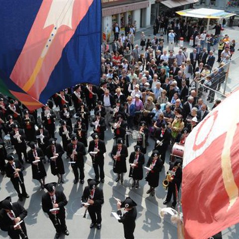 3 Landsgemeinde 2010 (44). Vergrösserte Ansicht