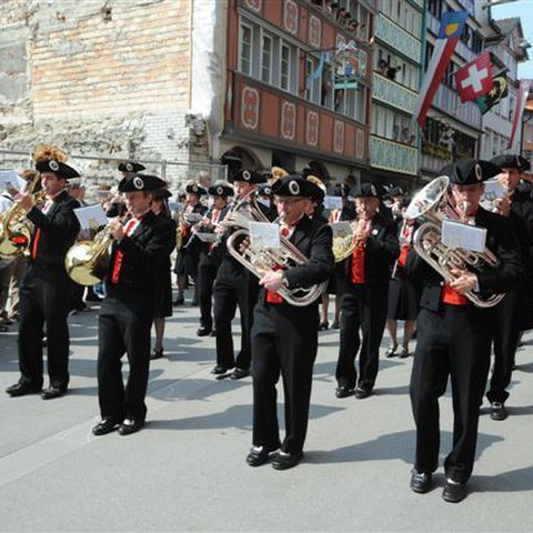 3 Landsgemeinde 2010 (45). Vergrösserte Ansicht