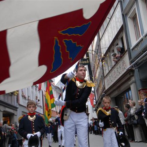 3 Landsgemeinde 2010 (51). Vergrösserte Ansicht