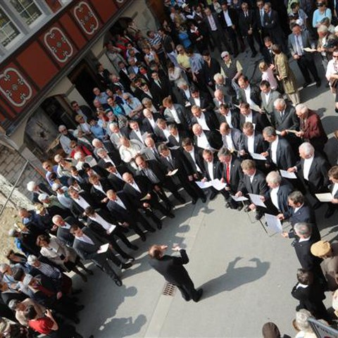 3 Landsgemeinde 2010 (53). Vergrösserte Ansicht