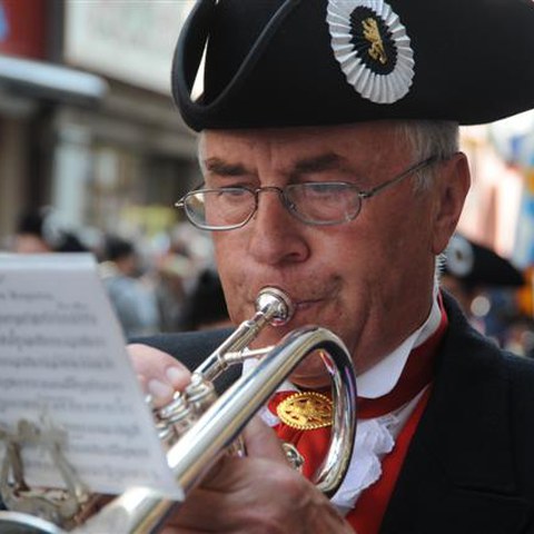 5 Landsgemeinde 2010 (39). Vergrösserte Ansicht