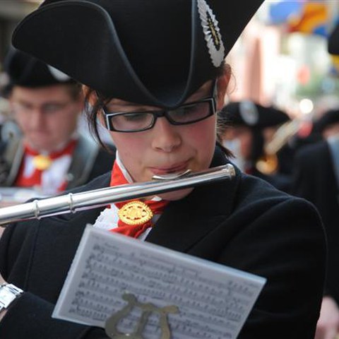 5 Landsgemeinde 2010 (40). Vergrösserte Ansicht