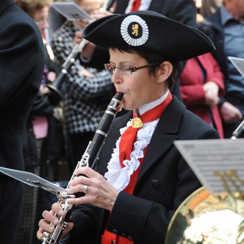 5 Landsgemeinde 2010 (41). Vergrösserte Ansicht