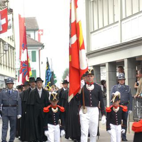 7 Landsgemeinde 2010 (1). Vergrösserte Ansicht