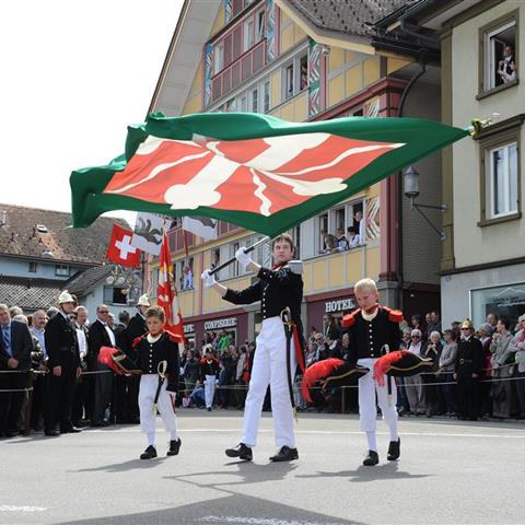 Landsgemeinde 2015 (18). Vergrösserte Ansicht