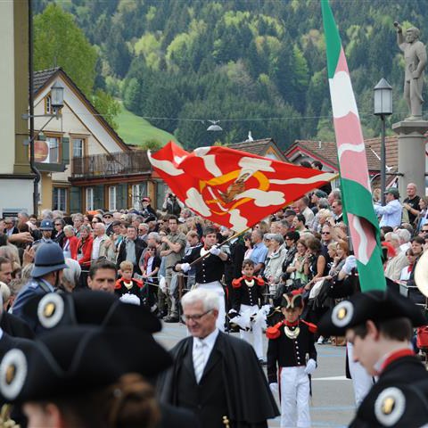 Landsgemeinde 2011 (34). Vergrösserte Ansicht