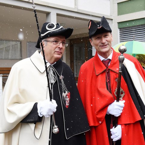 Landsgemeinde 2016 (2). Vergrösserte Ansicht