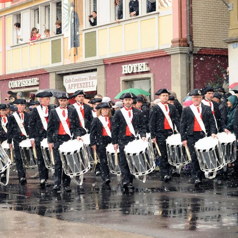 Landsgemeinde 2016 (28). Vergrösserte Ansicht