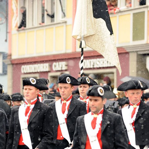 Landsgemeinde 2016 (29). Vergrösserte Ansicht