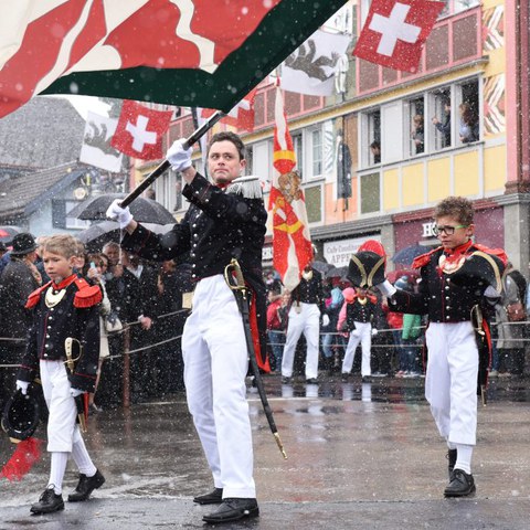 Landsgemeinde 2016 (38). Vergrösserte Ansicht