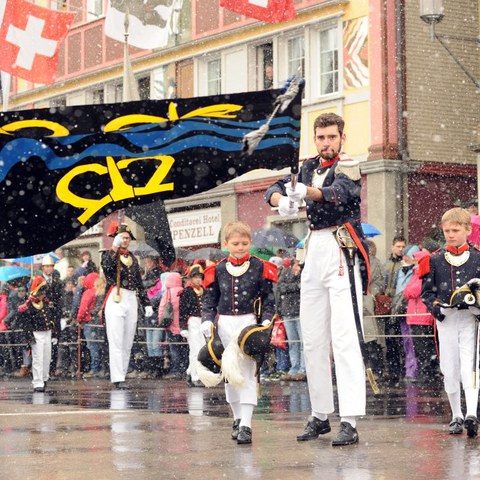 Landsgemeinde 2016 (48). Vergrösserte Ansicht