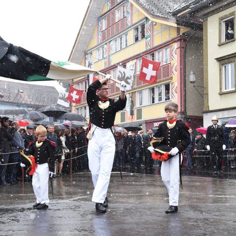 Landsgemeinde 2016 (50). Vergrösserte Ansicht