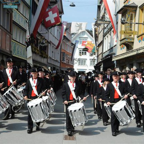 3 Landsgemeinde 2010 (46). Vergrösserte Ansicht