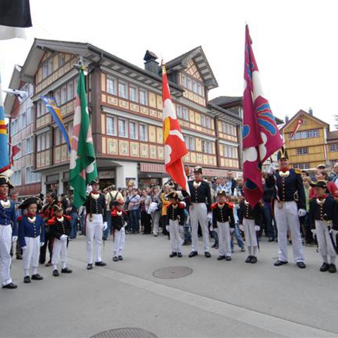 3 Landsgemeinde 2010 (49). Vergrösserte Ansicht