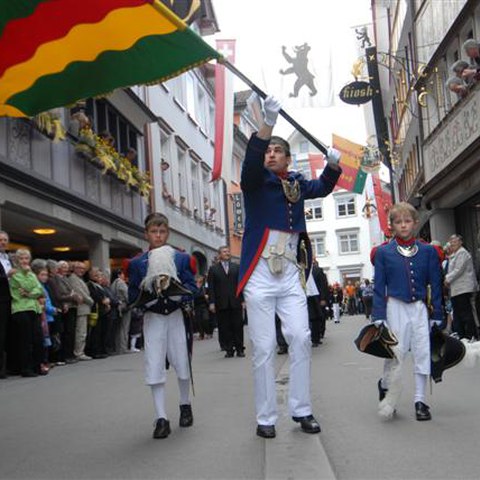 3 Landsgemeinde 2010 (50). Vergrösserte Ansicht