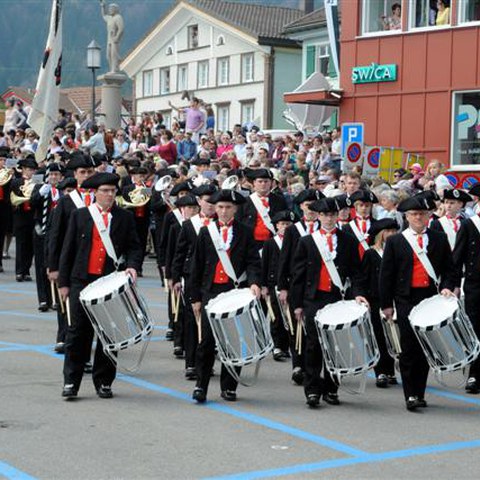 5 Landsgemeinde 2010 (32). Vergrösserte Ansicht