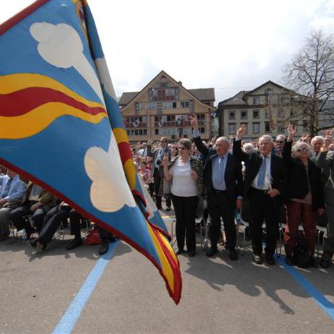 6 Landsgemeinde 2010 (19). Vergrösserte Ansicht