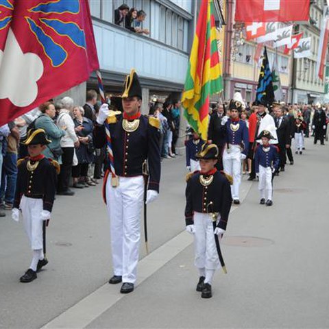 8 Landsgemeinde 2010 (26). Vergrösserte Ansicht