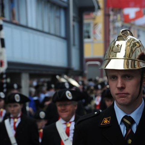 8 Landsgemeinde 2010 (29). Vergrösserte Ansicht