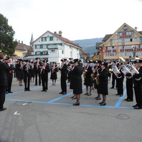 9 Landsgemeinde 2010 (6). Vergrösserte Ansicht