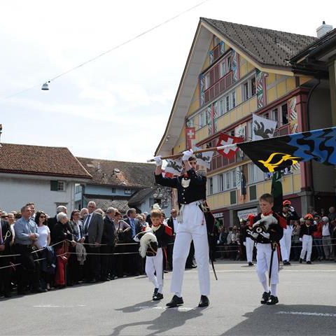 Landsgemeinde 2015 (27). Vergrösserte Ansicht