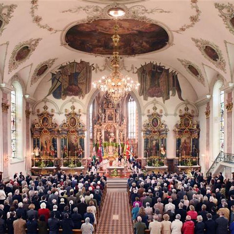 Landsgemeinde 2015 (3). Vergrösserte Ansicht