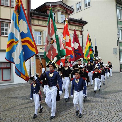 Landsgemeinde 2014 (1). Vergrösserte Ansicht