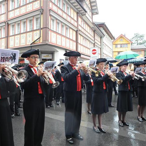 Landsgemeinde 2014 (13). Vergrösserte Ansicht