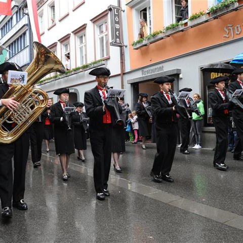 Landsgemeinde 2014 (15). Vergrösserte Ansicht