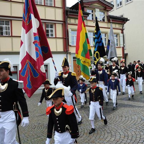 Landsgemeinde 2014 (2). Vergrösserte Ansicht