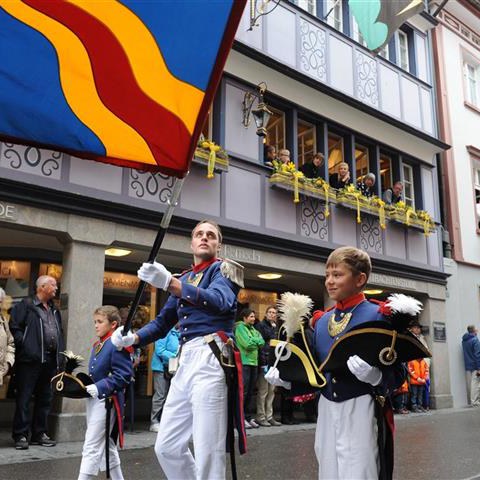 Landsgemeinde 2014 (29). Vergrösserte Ansicht