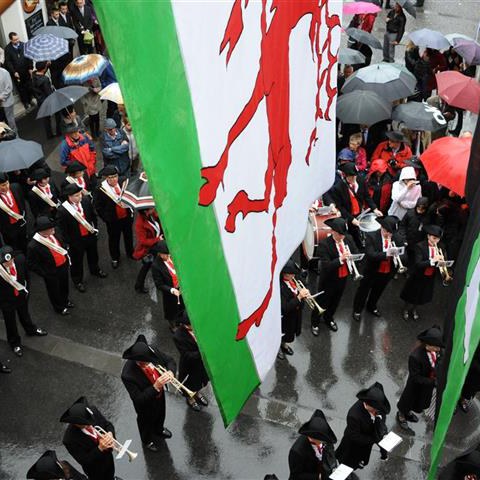 Landsgemeinde 2014 (48). Vergrösserte Ansicht