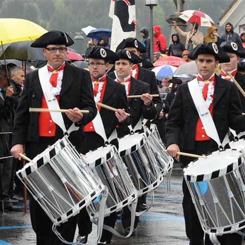 Landsgemeinde 2014 (52). Vergrösserte Ansicht