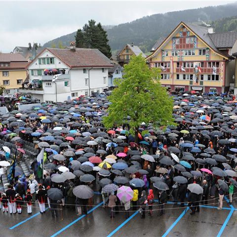 Landsgemeinde 2014 (68). Vergrösserte Ansicht