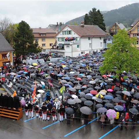 Landsgemeinde 2014 (69). Vergrösserte Ansicht