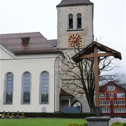 Landsgemeinde 2014 (8). Vergrösserte Ansicht