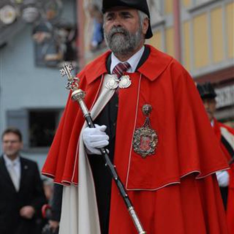 Landsgemeinde 2013 (16). Vergrösserte Ansicht