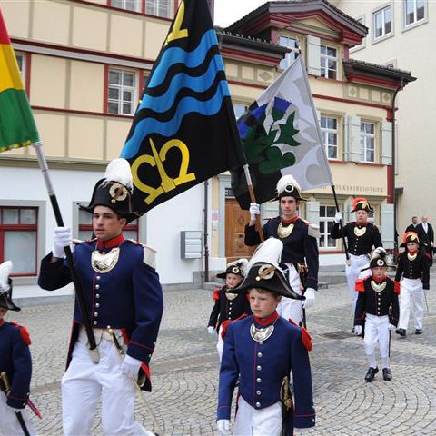 Landsgemeinde 2013 (6). Vergrösserte Ansicht