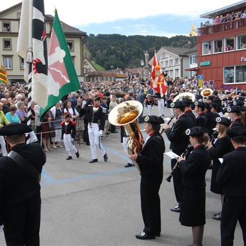 Landsgemeinde 2012 (20). Vergrösserte Ansicht