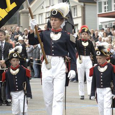 Landsgemeinde 2012 (23). Vergrösserte Ansicht