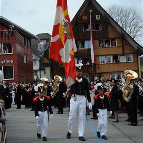 Landsgemeinde 2012 (37). Vergrösserte Ansicht