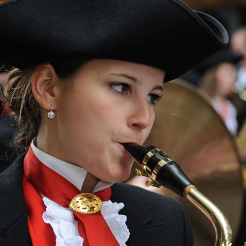 Landsgemeinde 2012 (44). Vergrösserte Ansicht