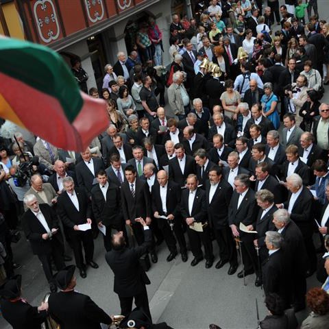 Landsgemeinde 2012 (57). Vergrösserte Ansicht