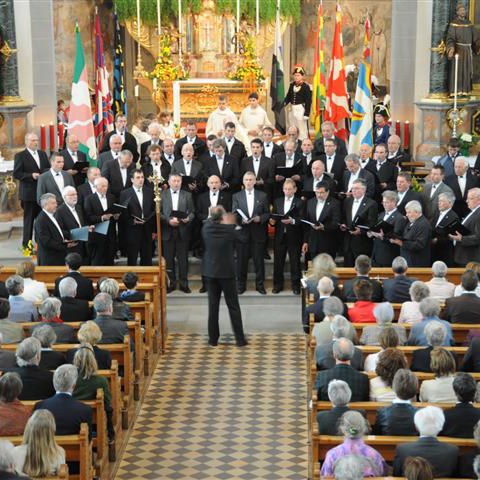 Landsgemeinde 2012 (65). Vergrösserte Ansicht