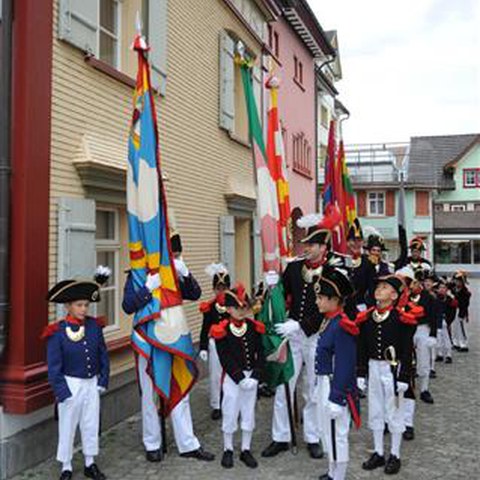 Landsgemeinde 2012 (72). Vergrösserte Ansicht