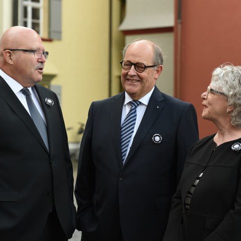 Landsgemeinde 008. Vergrösserte Ansicht